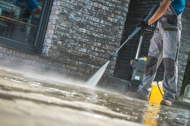 Best Concrete Sealing  in Madelia, MN
