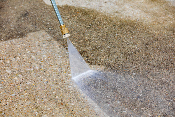 Best Dumpster Area Cleaning  in Madelia, MN