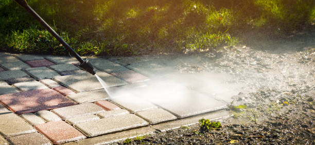 Best Restaurant Pressure Washing  in Madelia, MN