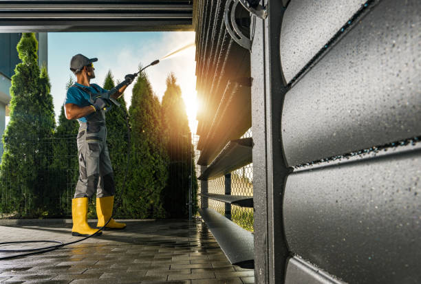 Best Residential House Exterior Washing  in Madelia, MN